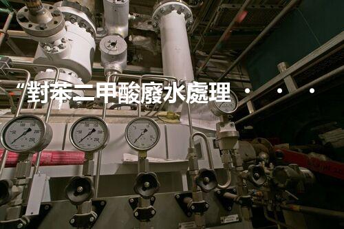 “對苯二甲酸廢水處理，綠色創(chuàng)新引領(lǐng)環(huán)保新篇章”
